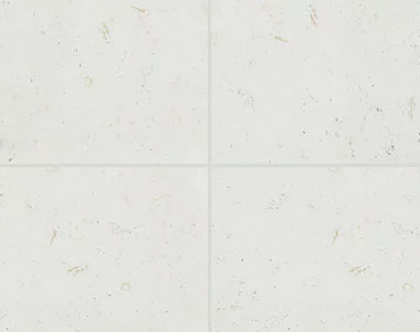 product picture of shell white limestone