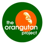 the-orang-utan-project